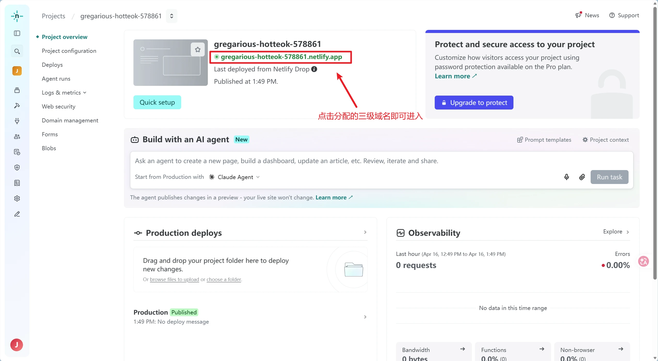 点击系统分配的三级域名即可进入项目查看