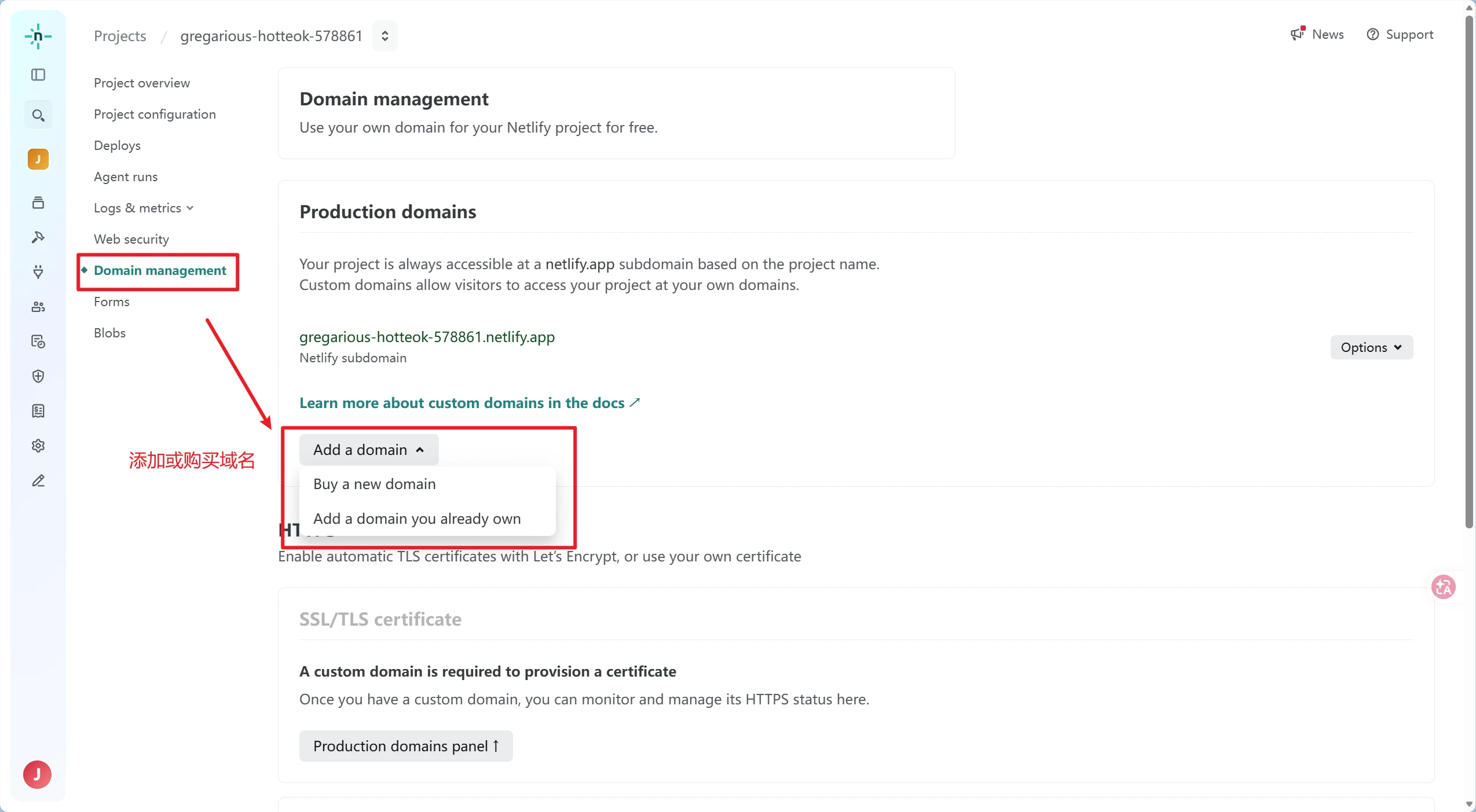 添加或购买域名