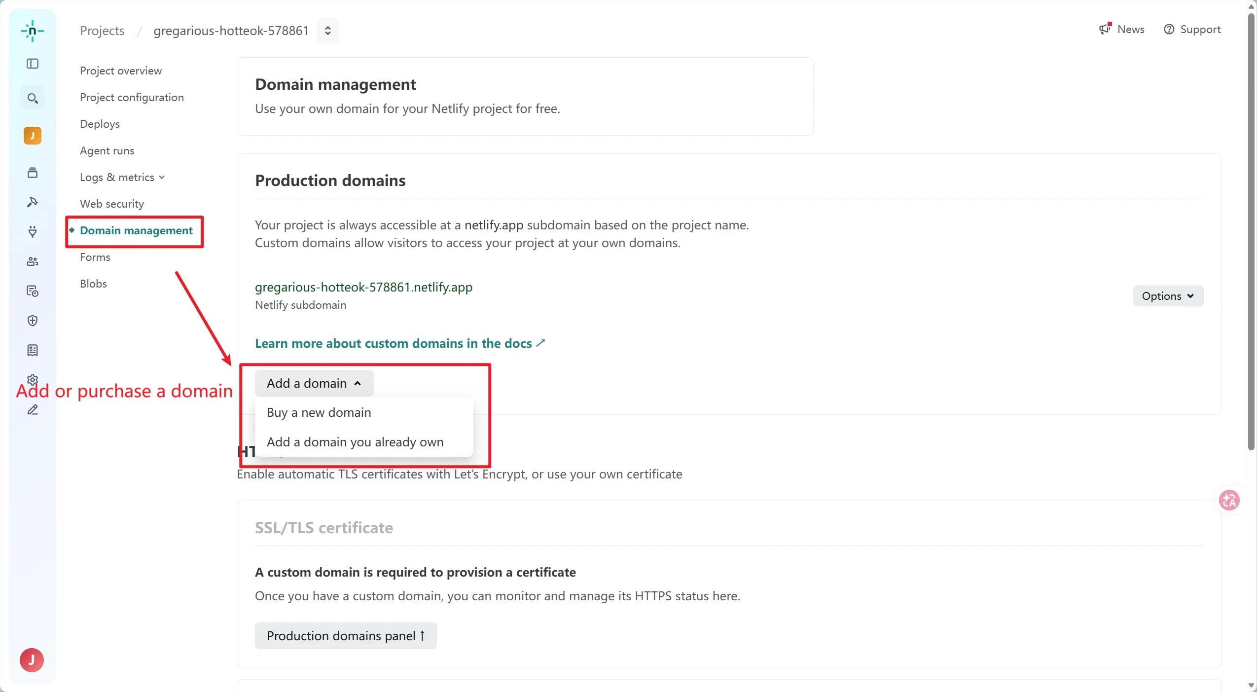 Binding a Custom Domain in the Netlify Dashboard