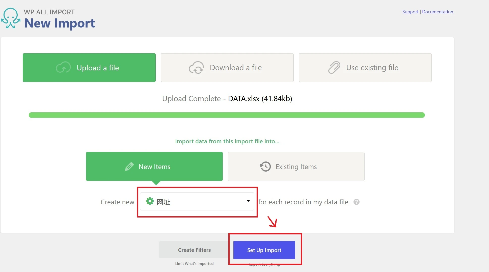 Import Type Selection