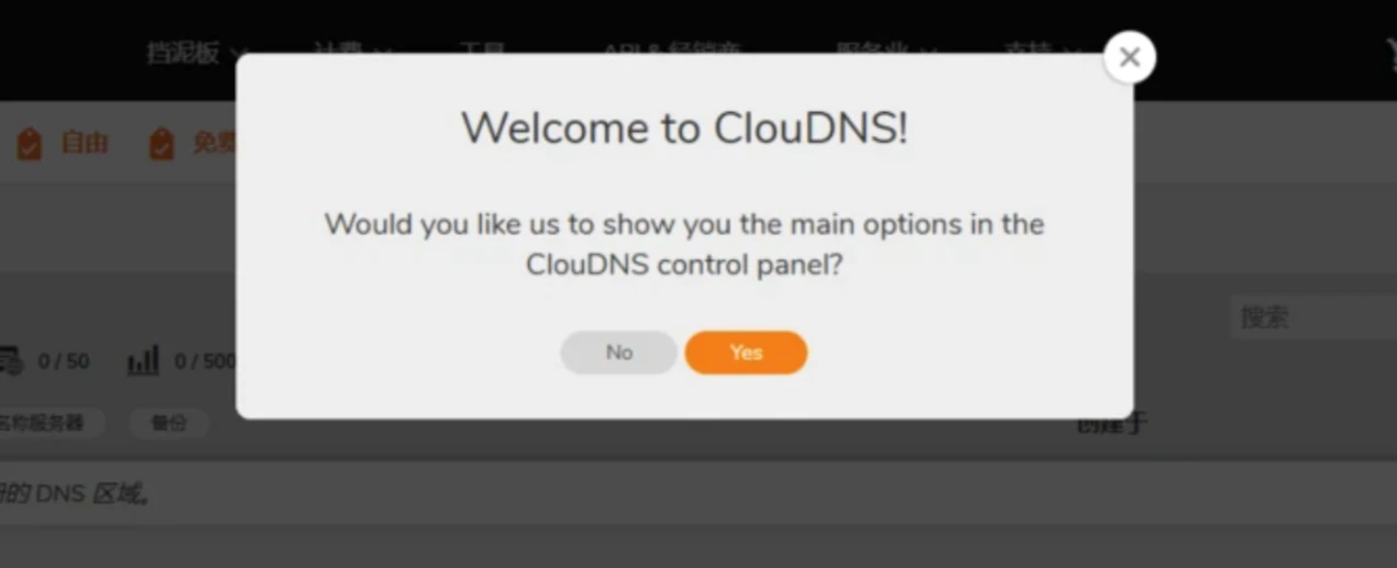 自动跳转到CloudDNS控制面板